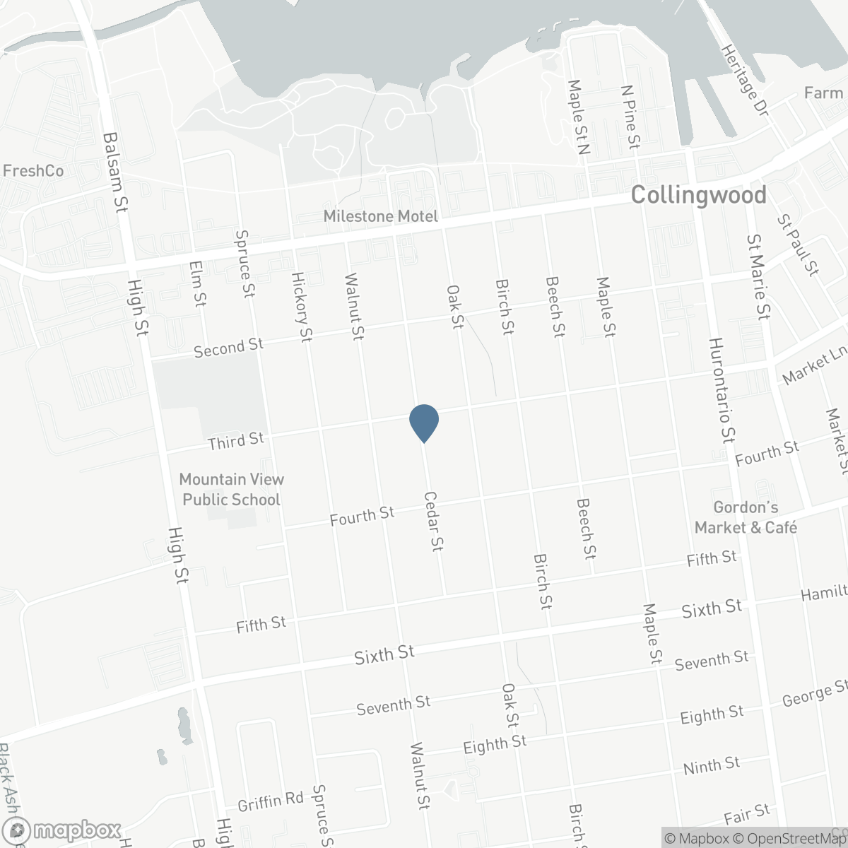216 CEDAR STREET, Collingwood, Ontario L9Y 3A8